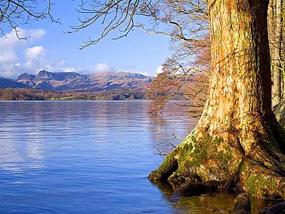 Windermere and the Langdales - Download this Lake District Wallpaper