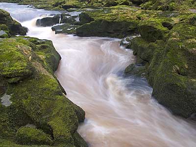 The Strid, Wharfedale - Download this Yorkshire Dales Wallpaper