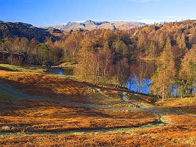 Tarn Hows and the Langdales - Download this Lake District Wallpaper